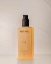 Load image into Gallery viewer, Natural Hand/Body Wash